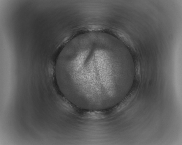 X0000112180367200908211505