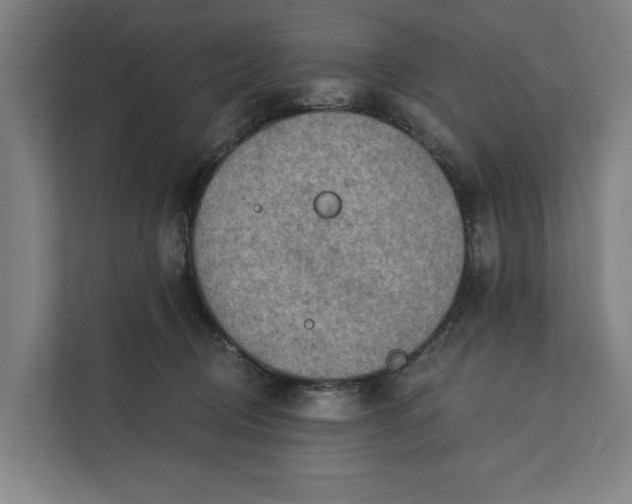 X0000112180370200908211505