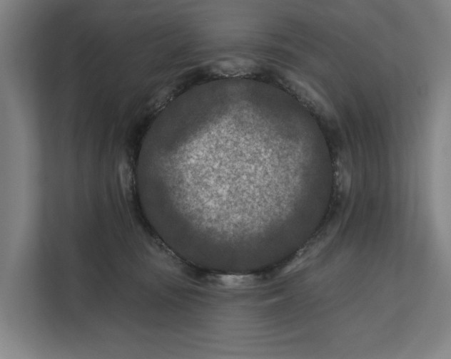 X0000112180371200908211505