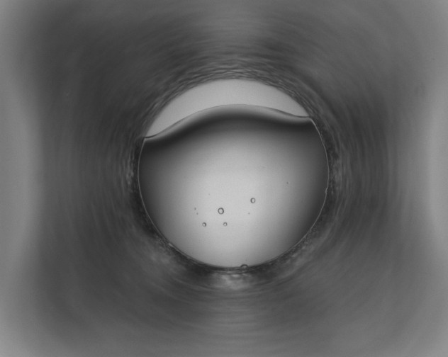 X0000112180372200908211505