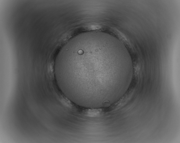 X0000112180373200908211505