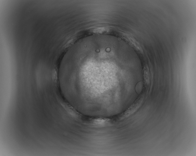 X0000112180375200908211505