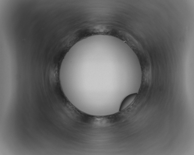 X0000112180376200908211505