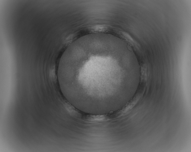 X0000112180377200908211505