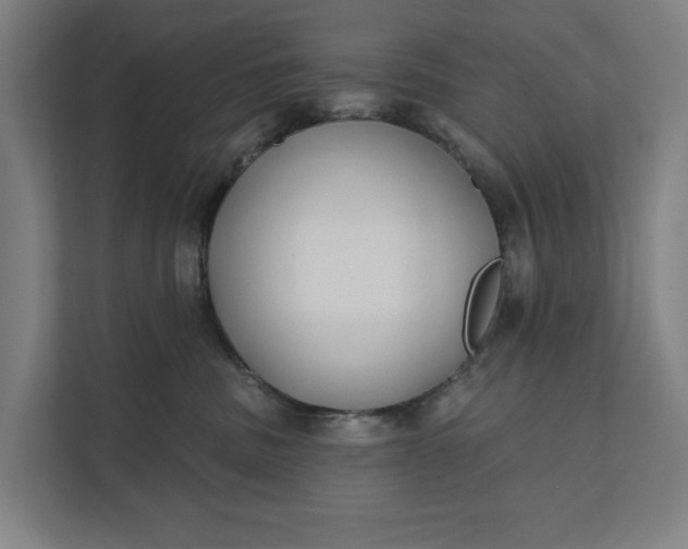 X0000112180379200908211505