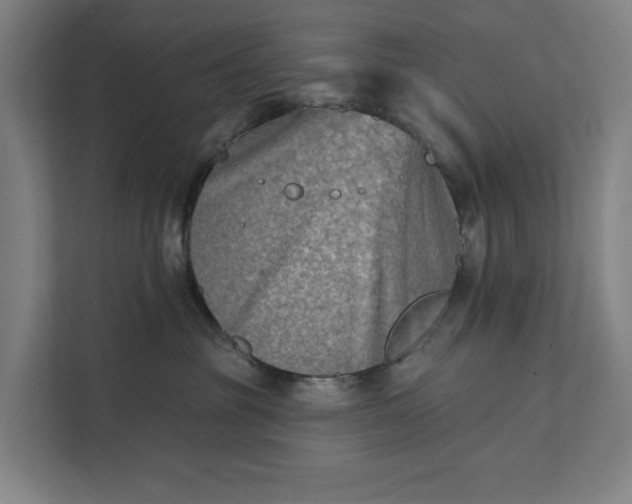 X0000112180381200908211505