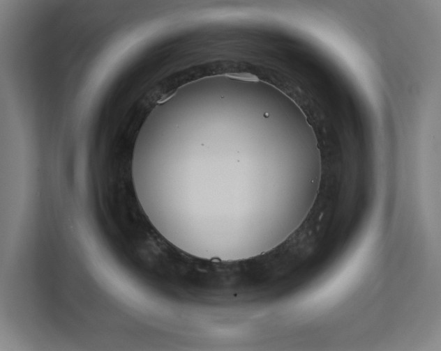 X0000112180382200908211505