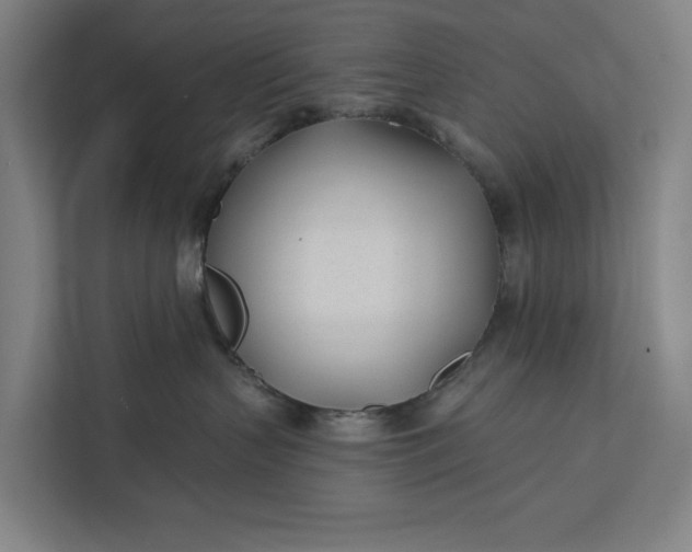 X0000112180383200908211505