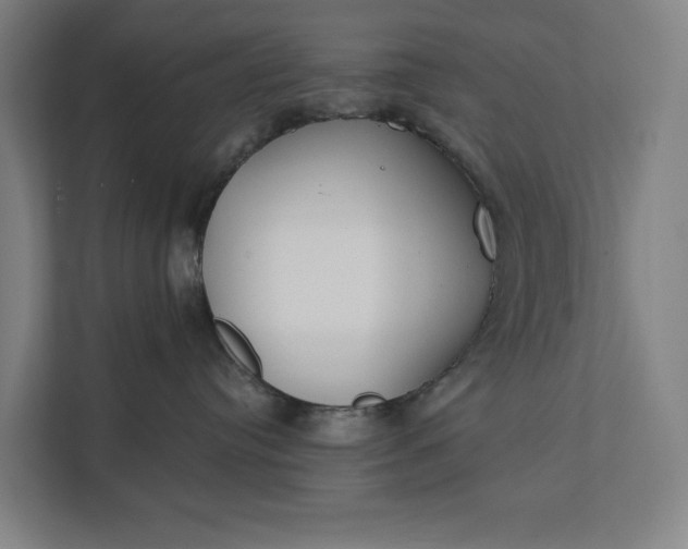 X0000112180384200908211505