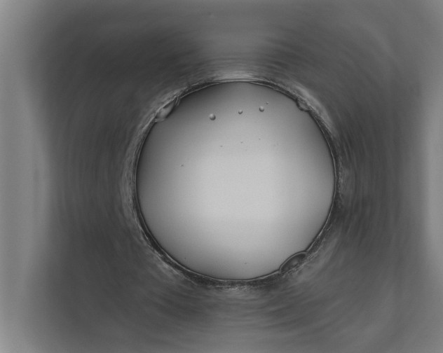 X0000112180385200908211504