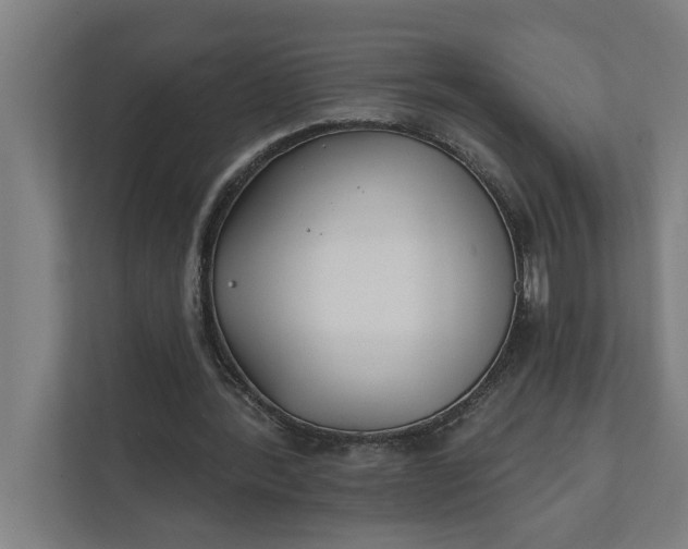 X0000112180388200908211504