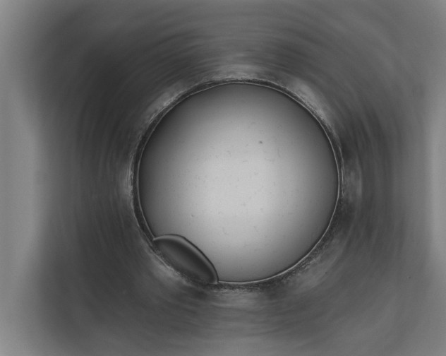 X0000112180389200908211504