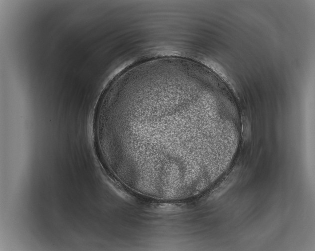 X0000112180390200908211504