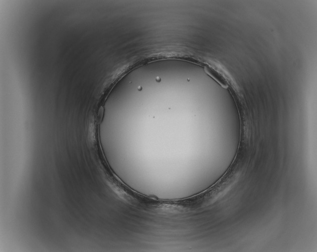 X0000112180393200908211504