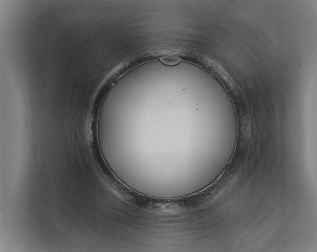 X0000112180395200908211504