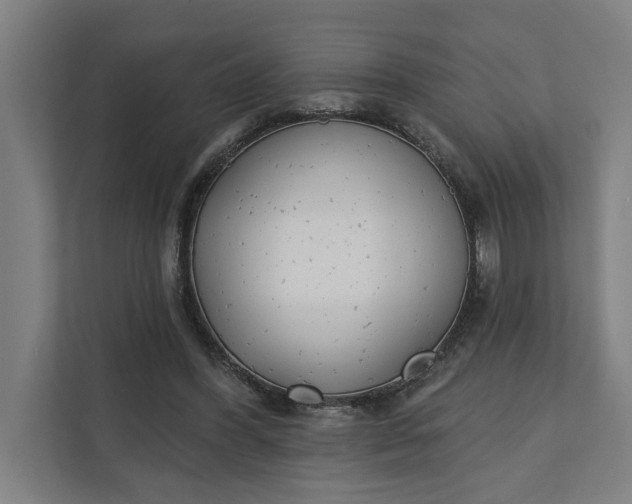 X0000112180396200908211504