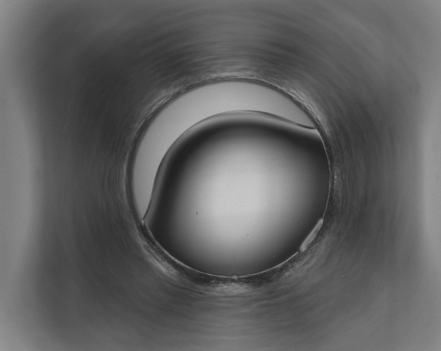 X0000112180397200908211504