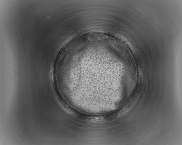 X0000112180398200908211504