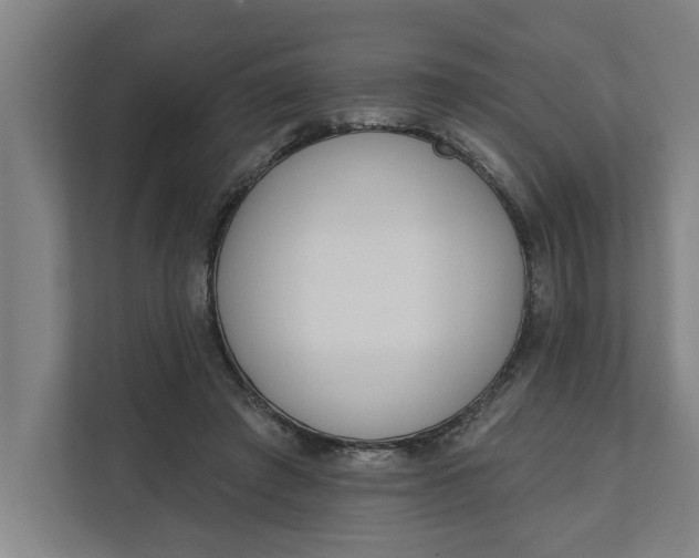 X0000112180401200908211504