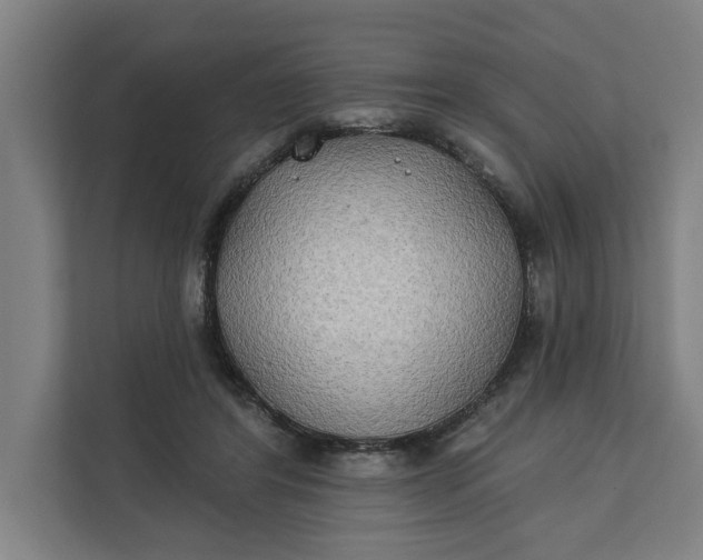 X0000112180404200908211504