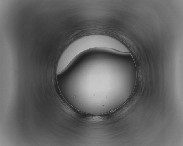 X0000112180409200908211504