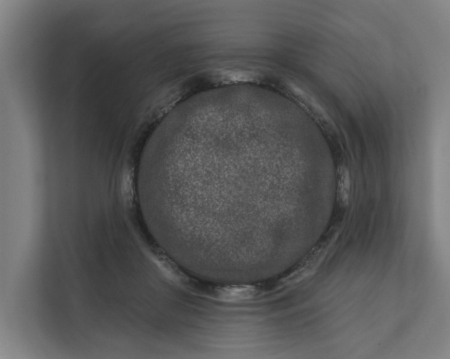 X0000112180410200908211504