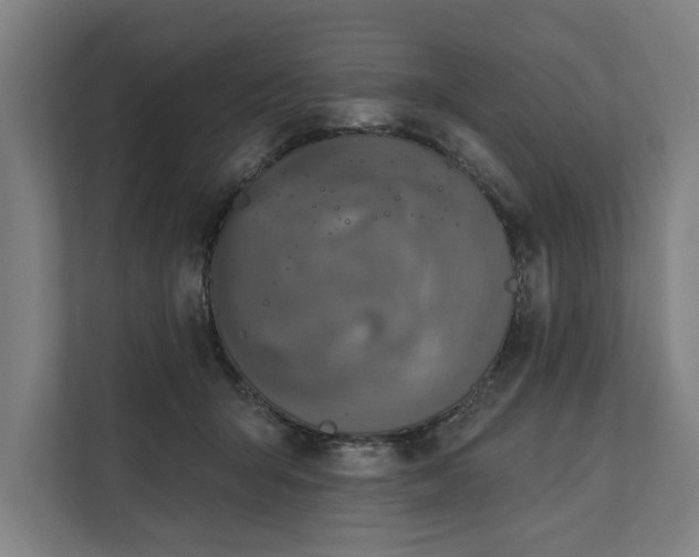 X0000112180415200908211504