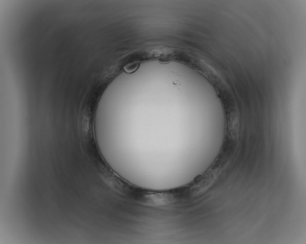 X0000112180417200908211504