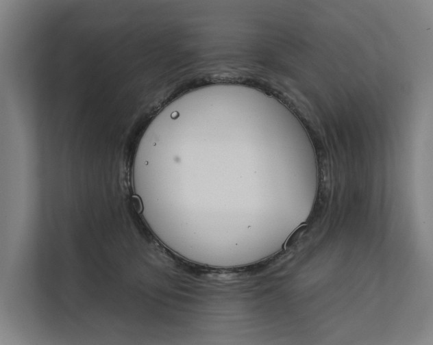 X0000112180419200908211504