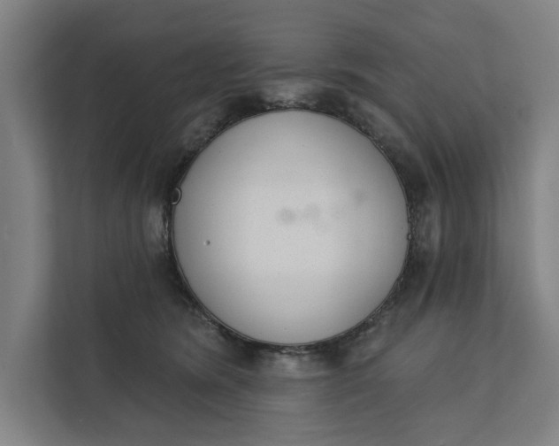 X0000112180420200908211504