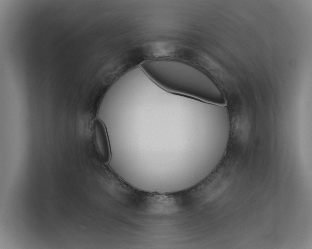 X0000112180421200908211504