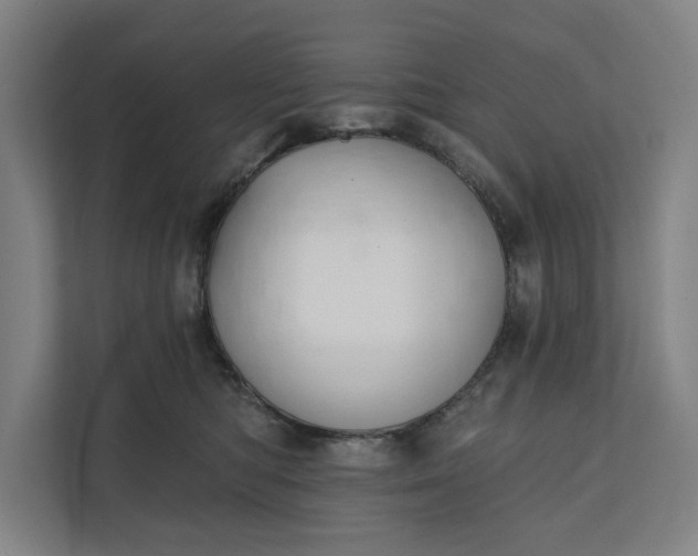 X0000112180422200908211504