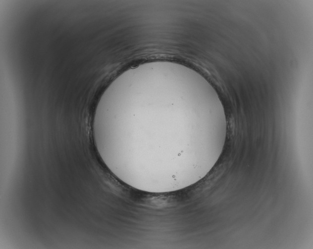 X0000112180423200908211504