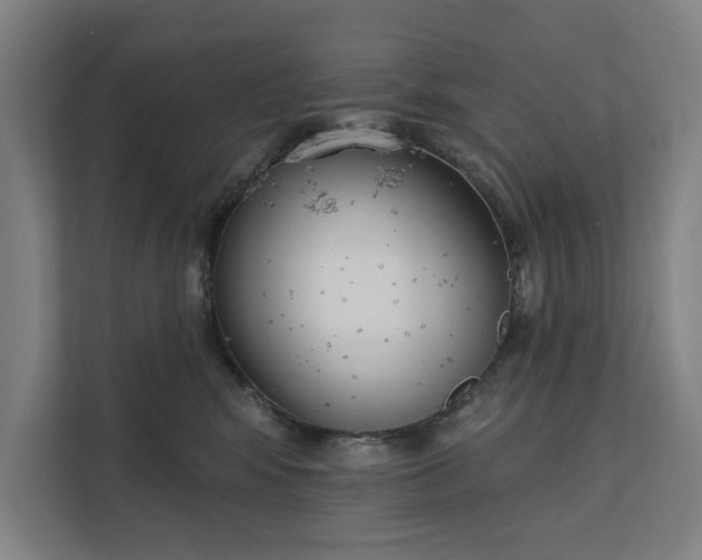 X0000112180424200908211504