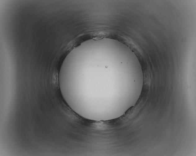 X0000112180425200908211504