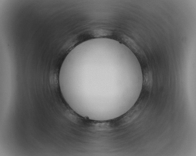 X0000112180426200908211504