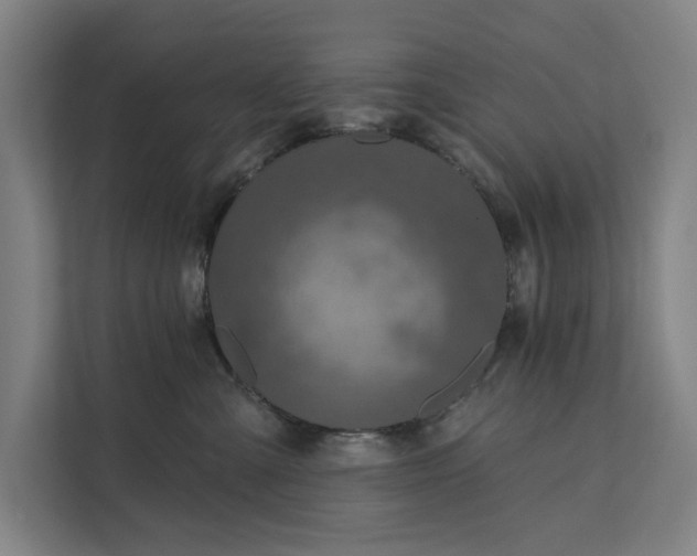 X0000112180427200908211504