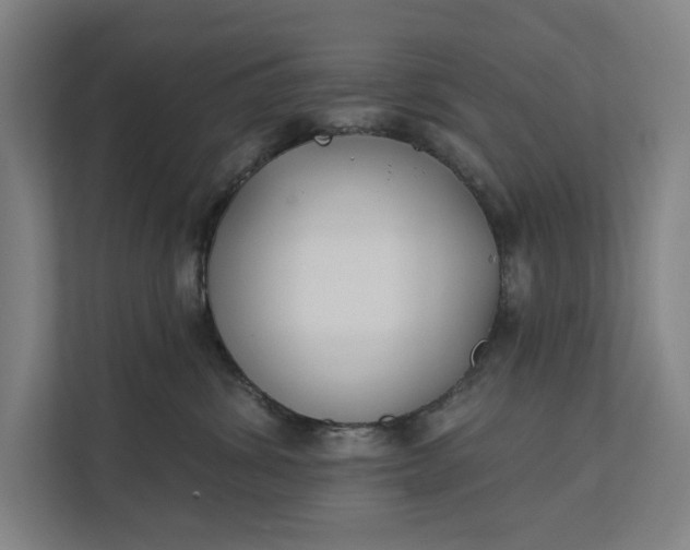 X0000112180428200908211504