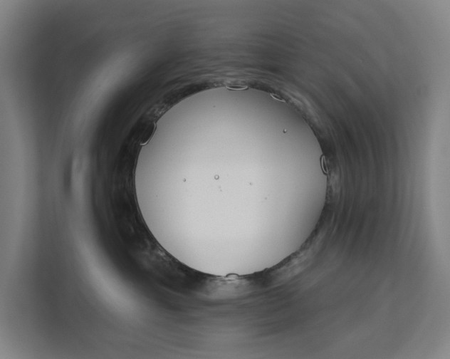 X0000112180429200908211504