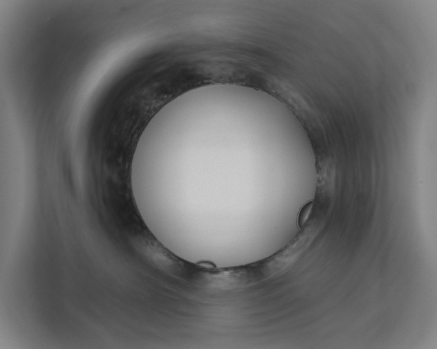 X0000112180430200908211504