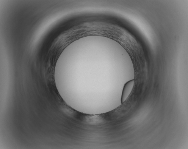 X0000112180431200908211504