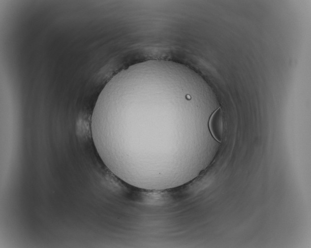 X0000112180432200908211504