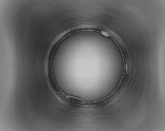 X0000112180436200908211503