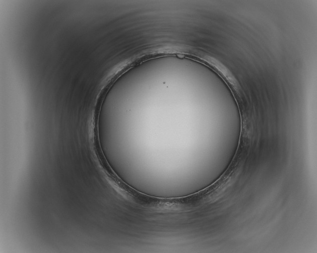 X0000112180437200908211503