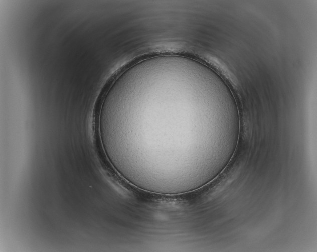 X0000112180439200908211503