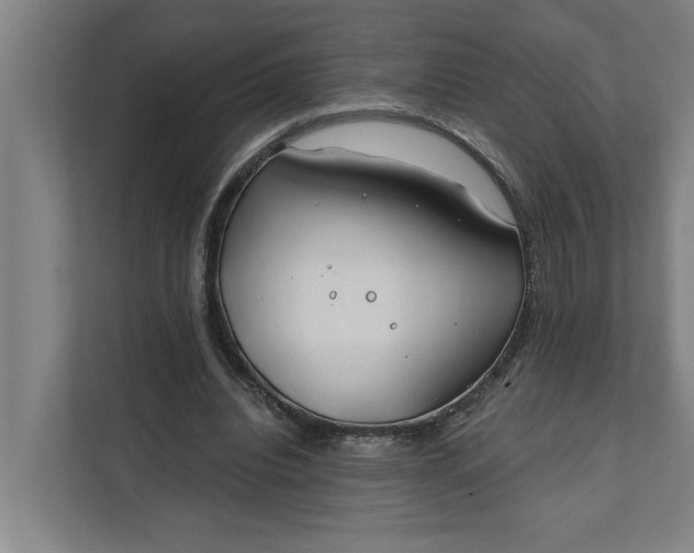 X0000112180440200908211503