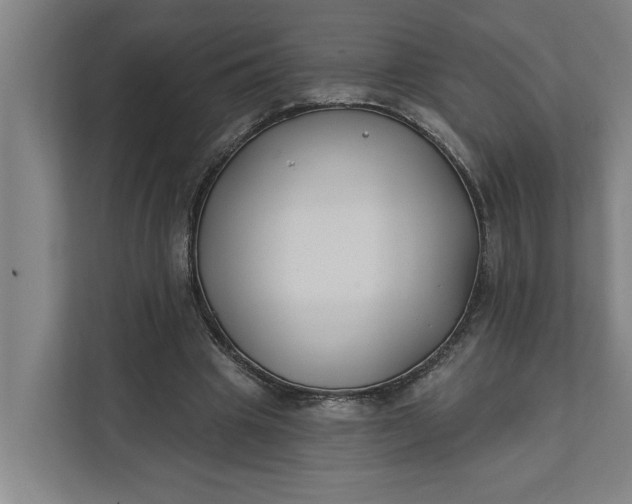 X0000112180441200908211503