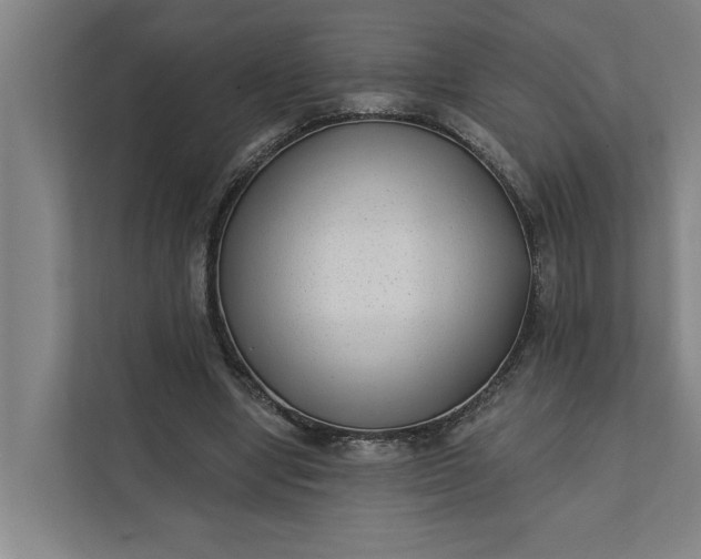 X0000112180442200908211503