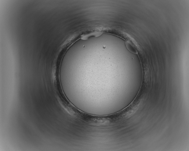 X0000112180443200908211503