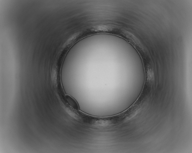 X0000112180444200908211503